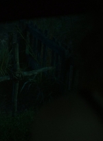 twd1018_scnet_1418.jpg