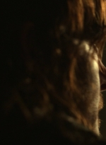 twd1018_scnet_1666.jpg