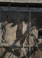 twd1018_scnet_2013.jpg