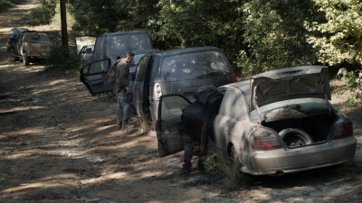 twd1019_scnet_0225.jpg