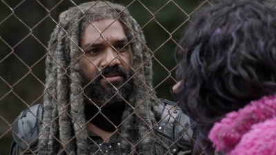 twd1020_scnet_1800.jpg