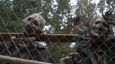 twd1020_scnet_1816.jpg