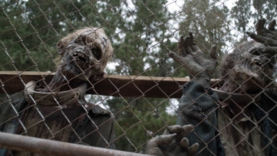 twd1020_scnet_1817.jpg