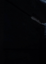 twd1020_scnet_0452.jpg