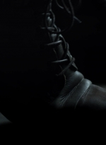 twd1020_scnet_1029.jpg