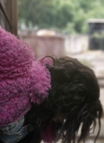 twd1020_scnet_1152.jpg