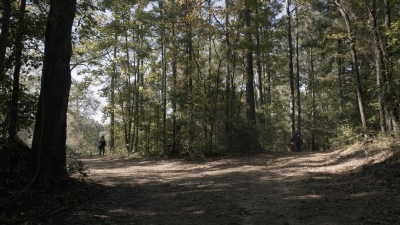 twd1021_scnet_0133.jpg