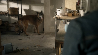twd1021_scnet_0577.jpg