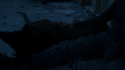 twd1021_scnet_1726.jpg
