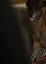 twd1021_scnet_0538.jpg