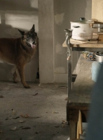 twd1021_scnet_0577.jpg
