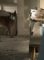 twd1021_scnet_0578.jpg