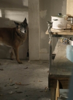 twd1021_scnet_0579.jpg