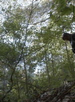 twd1021_scnet_1145.jpg