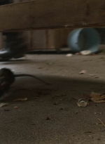 twd1021_scnet_1330.jpg