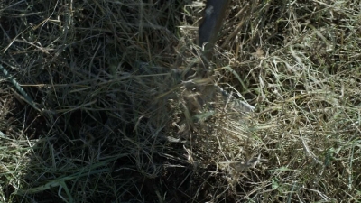 twd1022_scnet_0311.jpg