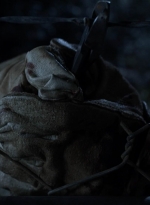 twd1022_scnet_1895.jpg
