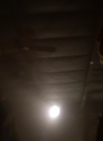 twd1022_scnet_1973.jpg