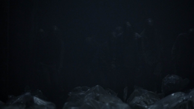 twd1101_scnet_2019.jpg