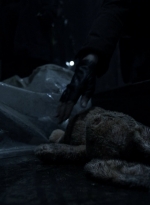 twd1101_scnet_1423.jpg