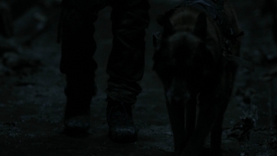 twd1102_scnet_0145.jpg