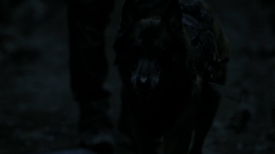 twd1102_scnet_0146.jpg