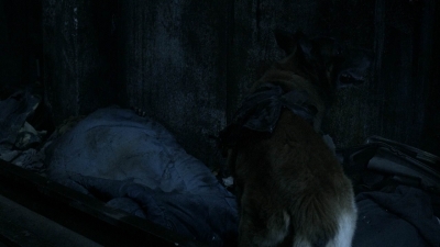 twd1102_scnet_0376.jpg