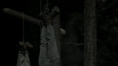 twd1102_scnet_2212.jpg