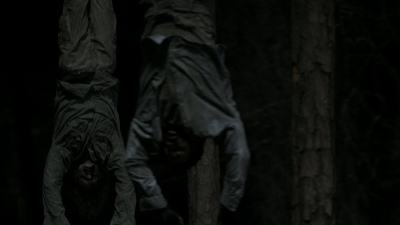 twd1102_scnet_2217.jpg
