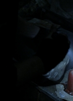 twd1102_scnet_0318.jpg