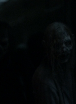twd1102_scnet_1487.jpg