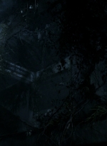 twd1102_scnet_2093.jpg