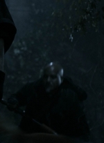 twd1102_scnet_2101.jpg