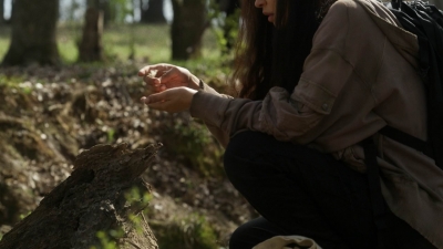 twd1103_scnet_0638.jpg