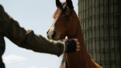 twd1103_scnet_1049.jpg