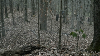 twd1103_scnet_1221.jpg