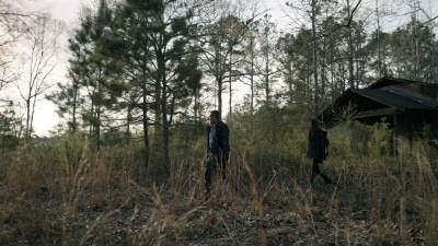 twd1103_scnet_1965.jpg