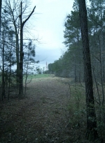 twd1103_scnet_0415.jpg