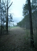 twd1103_scnet_0417.jpg