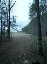 twd1103_scnet_0418.jpg