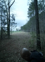 twd1103_scnet_0419.jpg