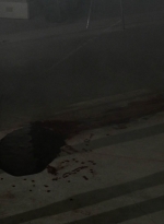 twd1103_scnet_0557.jpg