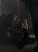 twd1103_scnet_0563.jpg