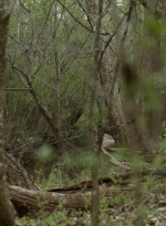 twd1103_scnet_0878.jpg