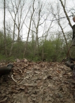 twd1103_scnet_0901.jpg
