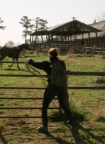 twd1103_scnet_1014.jpg