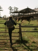 twd1103_scnet_1015.jpg