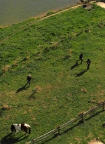 twd1103_scnet_1017.jpg