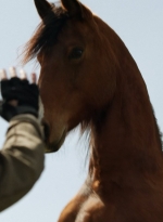 twd1103_scnet_1050.jpg