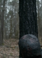twd1103_scnet_1279.jpg